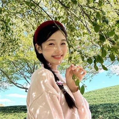 完美革命